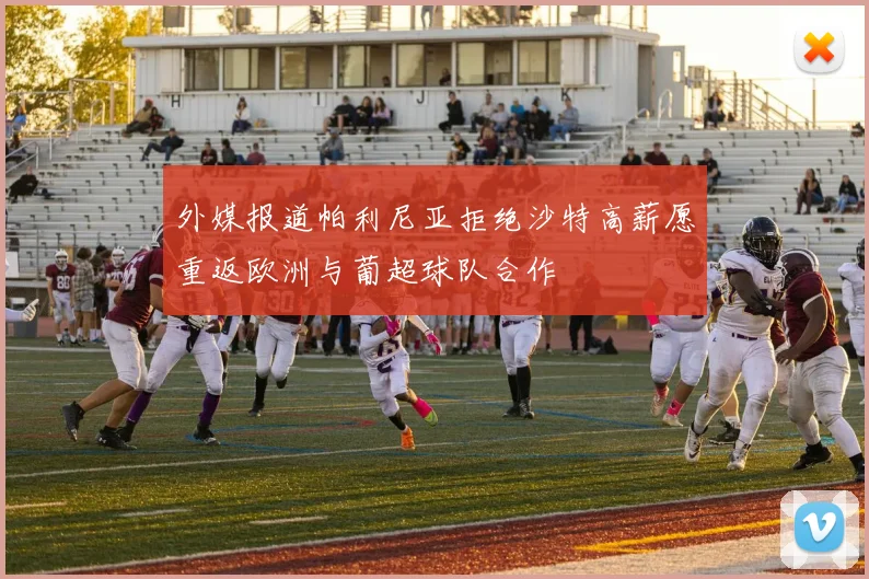 外媒报道帕利尼亚拒绝沙特高薪愿重返欧洲与葡超球队合作