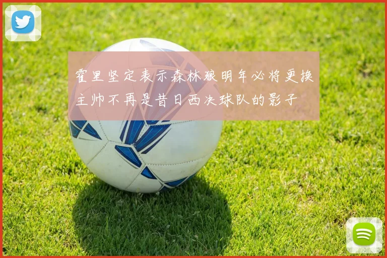 霍里坚定表示森林狼明年必将更换主帅不再是昔日西决球队的影子