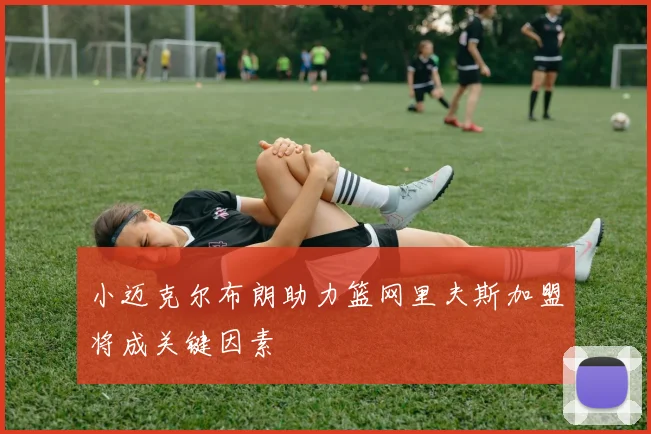 小迈克尔布朗助力篮网里夫斯加盟将成关键因素